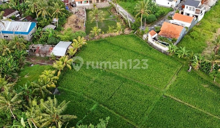 Beberapa Plot Tanah Kavling di Kawasan P. Nyanyi, Tabanan - Bali