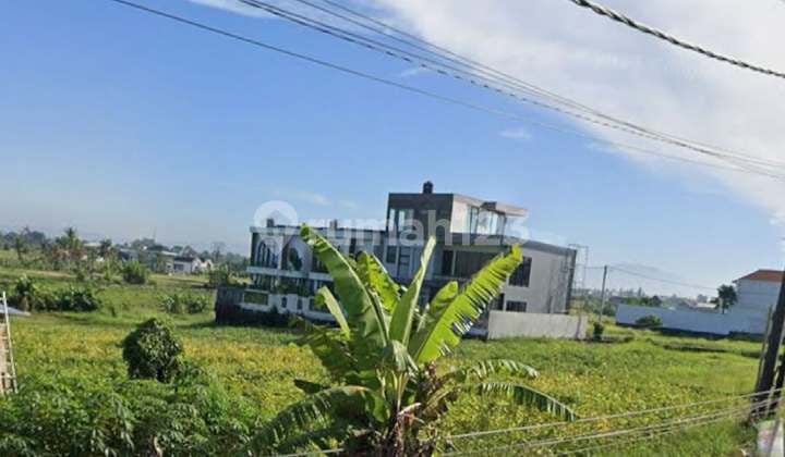 Lahan Murah Di Jalan Utama Pantai Nyanyi, Tabanan - Bali