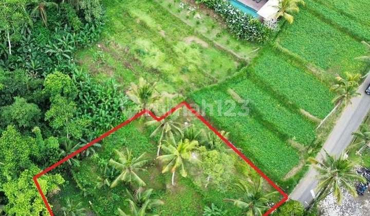 Lahan Cakep Di Kawasan Komersil Melinggih, Ubud - Bali