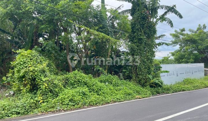 Main Road Land Ry. Tumbak Bayuh - Tiying Tutul, Canggu - Bali