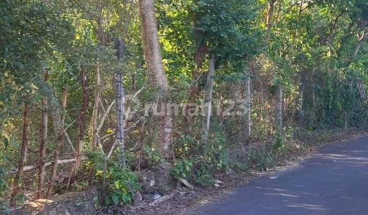 Lahan Langka & Murah Di Raya Uluwatu, Pecatu - Bali