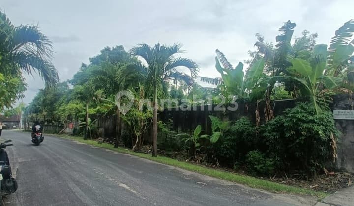 Main Road Land in Villa Raya Umah Buluh Area, Canggu - Bali