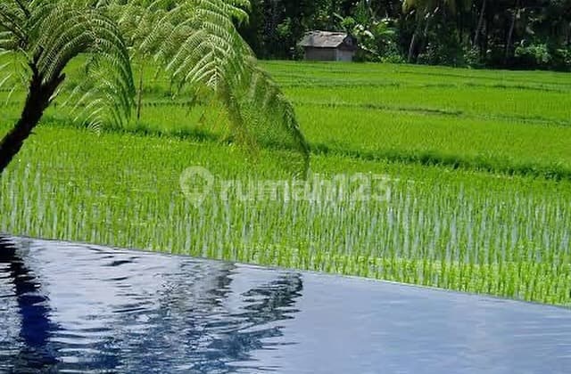 Aesthetic Villa with Rice Field View in P. Nyanyi, Tabanan - Bali