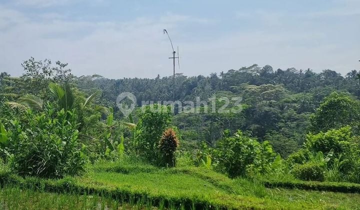 Land With Jungle, Valley, River & Rice Field View In Ubud, Bali