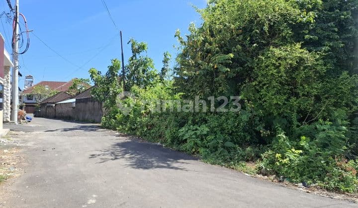 Tanah Langka Hook di Area Taman Mumbul, Nusa Dua - Bali