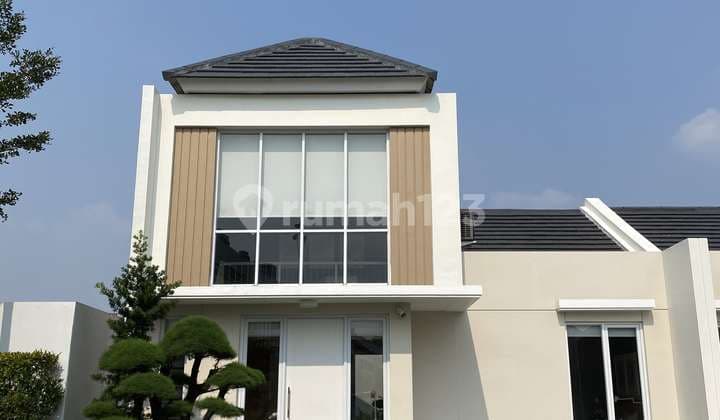 Paramont Petals , Claster Aster , Dp Nol Rupiah