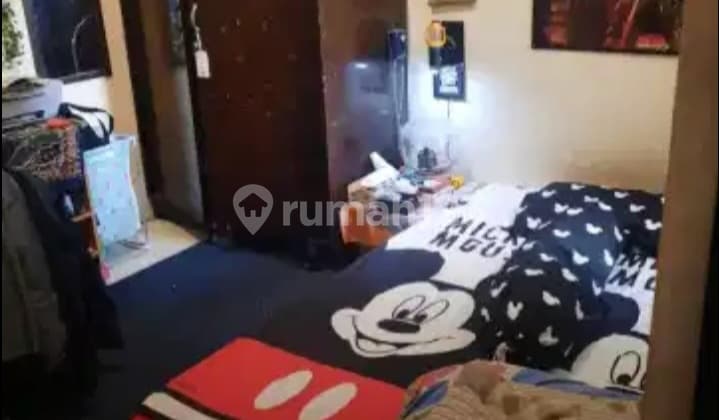 A Comfortable and Lush House in a Cool Airy Area