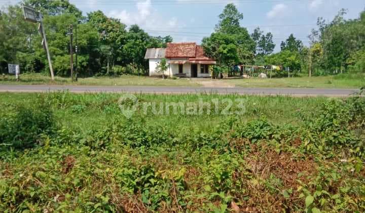 Tanah Datar di Lokasi Terbaik Kawasan Banyuasin