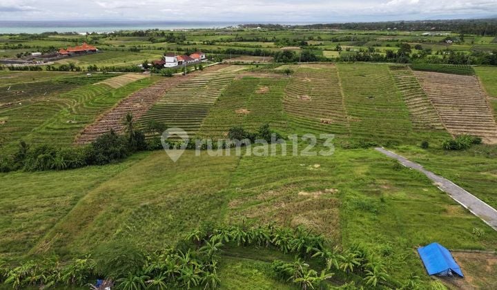 Dijual Tanah View Sunset Pantai Pasut Tabanan