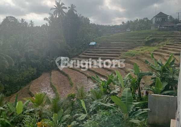 Tanah 1.012 M² Hadiah Rumah - View Lereng Gunung Dekat Jatiluwih