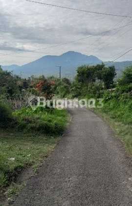 Dijual Tanah Perkebunan 9 Hektare - View Pegunungan dan Danau Buyan