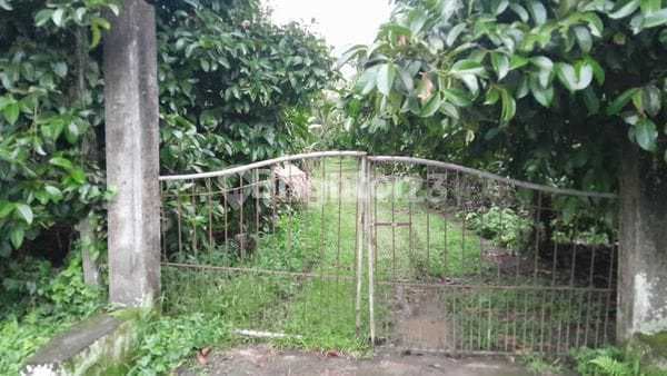 Tanah 1,5Ha Strategis di Tabanan
