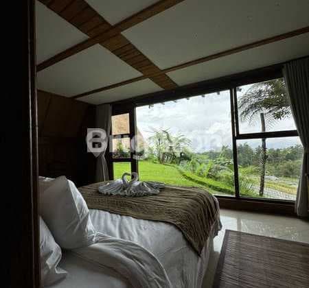 12 Villas + 1.7 Hectare In Bedugul Price Nego
