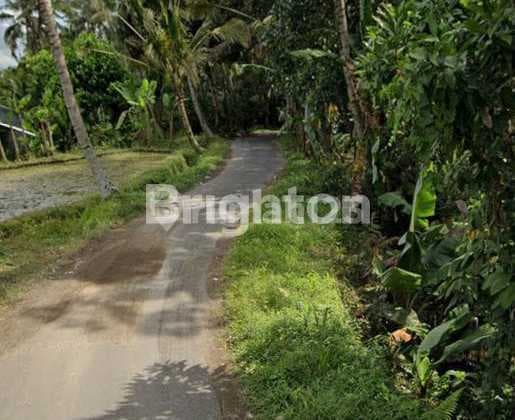 Land 31 Ares in Bukian, Ubud - Below Market Price