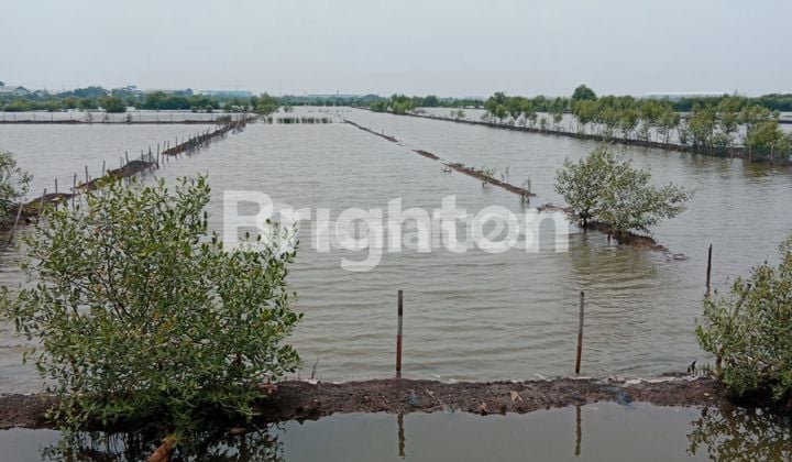 TANAH STRATEGIS DI TEPI JALAN PANTURA KALIWUNGU KENDAL