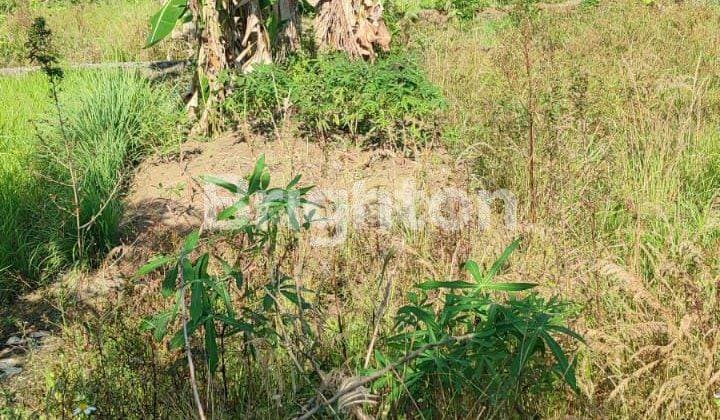 Tanah Murah Di Lingkungan Perumahan Di Batursari Mranggen