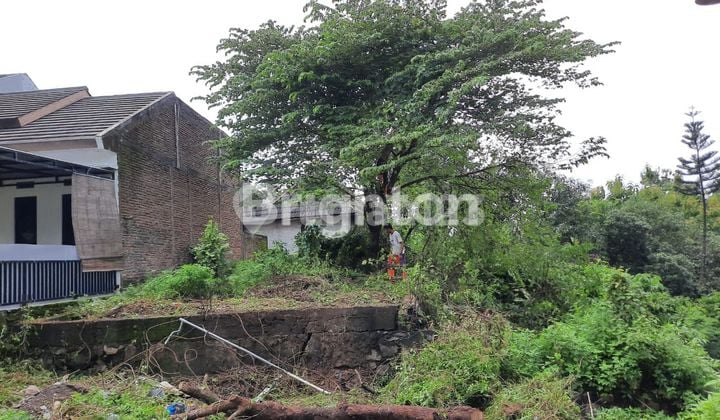 TANAH DI MULAWARMAN DEKAT UNDIP TEMBALANG