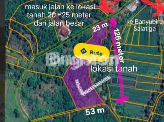 AGRO PLANTATION LAND IN THE BANYUBIRU JAMBU AREA, AMBARAWA.
