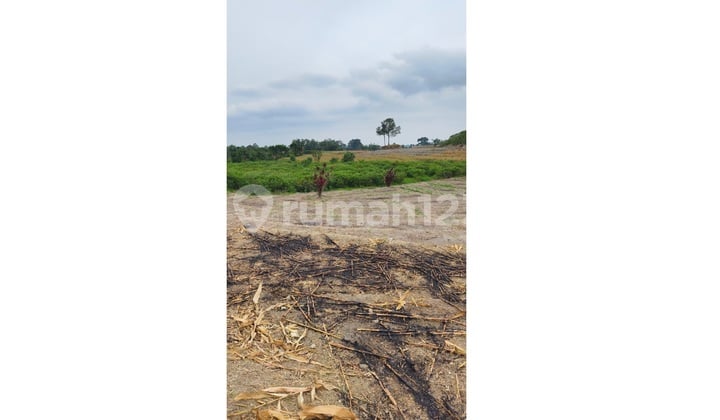 Tanah Kosong Murah di Pematang Siantar Marimbun