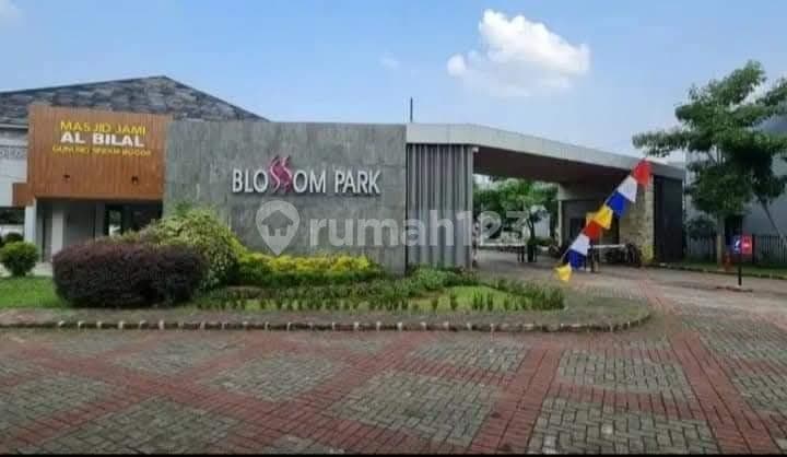 Rumah Bagus Blossom Park Residence Perbatasan Serpong Parung 61 M2 SHM