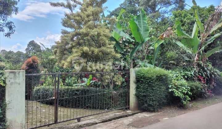 Tanah Kebon Leuwiliang Bogor 8724.0 m² SHM