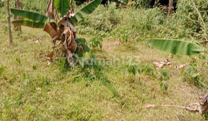 For Rent: Mekarsari Land, Cisauk Tigaraksa 3100 M2 SHM