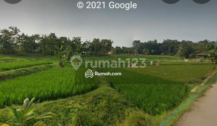Rice Field Land in East Karawang Rice Field Land in East Karawang