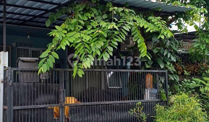 Pine Hill Kencana Loka Bsd House Good Location