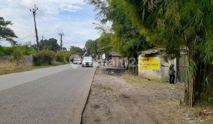 Jual Kavling Tanah di Jln Raya Puspiptek Gunung sindur kab Bogor