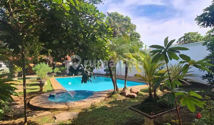 Rumah Estetik Lux Ada Kolam Renang Di Tanjung Karang Timur