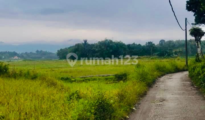 Dijual Tanah Luas 925 Meter Sigumpar Toba Samosir