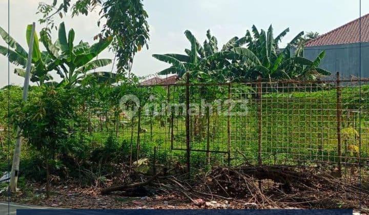 Dijual Cepat - Tanah Siap Bangun Lokasi Sangat Strategis Row Jalan 2 Mobil & Bisa Kpr Di Gunung Sahari, Jakarta Pusat