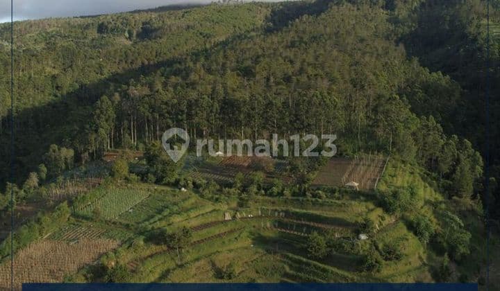 Dijual Cepat Lahan Premium Lokasi Super Strategis dengan Udara Sejuk Pegunungan di Lembang, Bandung