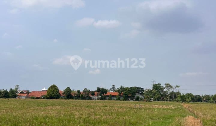 Lahan Potensial 6,9 Ha di Karangbahagia, Cikarang Utara