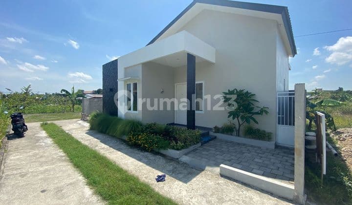 Elderly-Friendly Residence in a Peaceful Neighborhood, Priced at 600 Million!