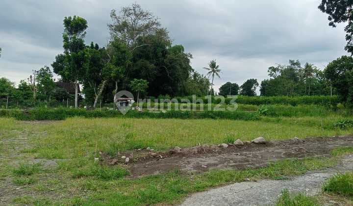 Lahan Dekat Kampus Uii, Investasi Strategis di Bawah Harga Pasar