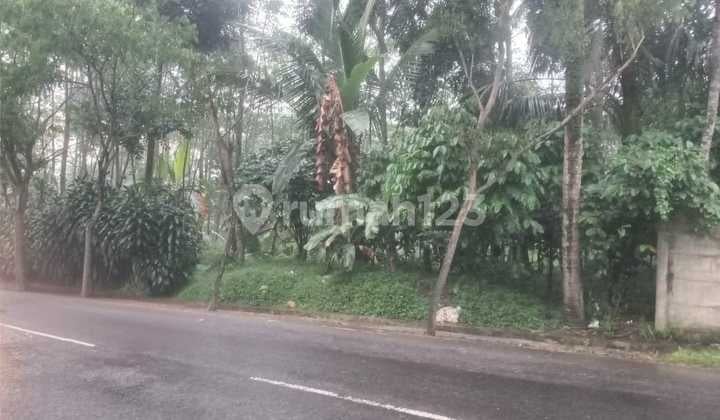 Tanah Strategis Tengah Kota Salatiga Dekat Kampus Uksw Dijual Di Lingkar Selatan Dukuh Sidorejo Salatiga
