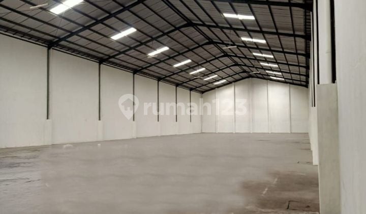 Gudang Strategis Tengah Kota Semarang Dekat Tol Dekat Bandara Dekat Pantura Siap Pakai Disewakan Di Kawasan Industri Candi Gatot Subroto Ngaliyan Semarang Barat Gudang Strategis Tengah Kota Semarang Dekat Tol Dekat Bandara Dekat Pantura Siap Pakai Disewakan Di Kawasan Industri Candi Gatot Subroto Ngaliyan Semarang Barat