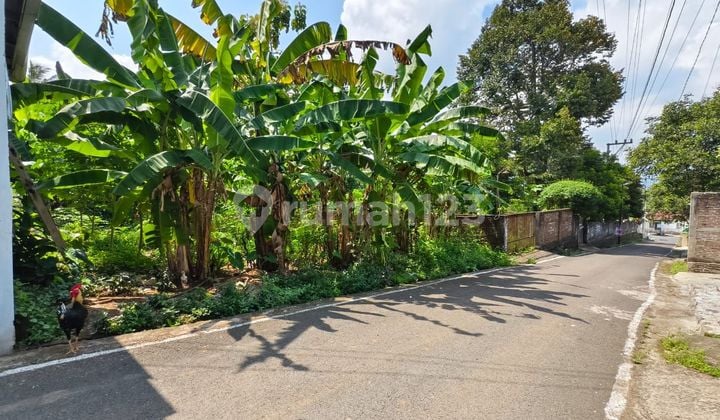 Tanah Tengah Kota Salatiga Dekat Kampus Uksw cocok untuk kos Dijual Di Blotongan Sidorejo Salatiga