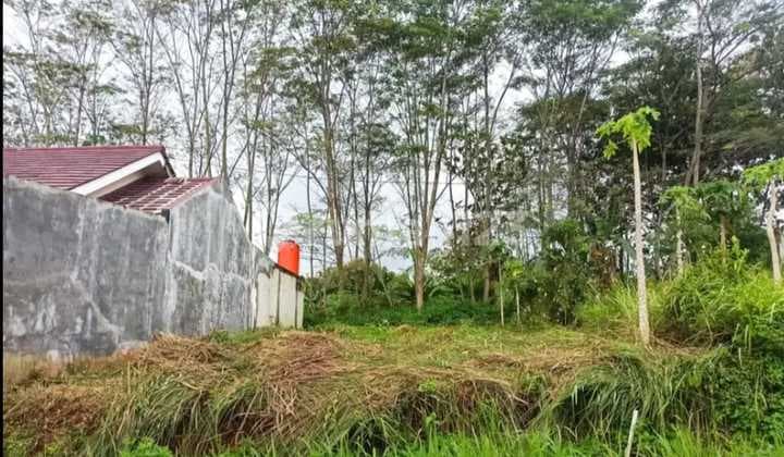 Middle City Semarang Residential Land Near Toll Road Near Kic For Sale In Dawung Residence Ngaliyan West Semarang