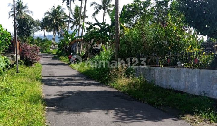 Tanah Luas Cocok Buat Villa,resto,hunian Lokasi Tenang Dan Asri