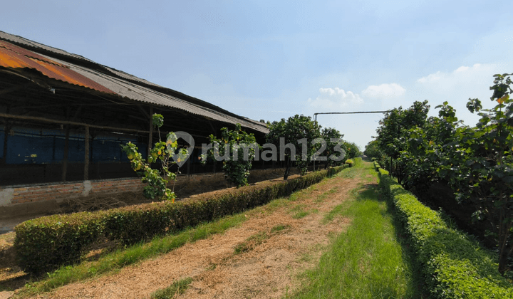 DIJUAL TANAH DI MUSTIKAJAYA BEKASI, PINGGIR JALAN 6 HEKTAR, STRATEGIS