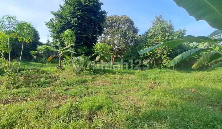 Cheap land below market price in Curug Gunung Sindur with a freehold certificate.