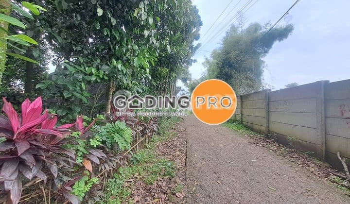 For Sale Strategic Land Gunung Sindur SHM