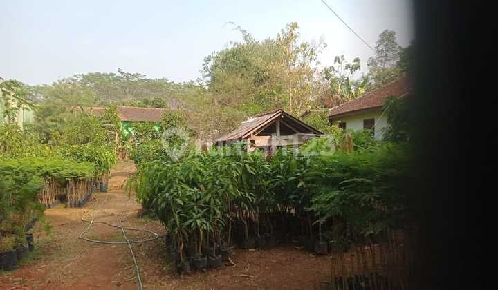 Tanah pinggir jalan raya utama pekalongan jawa tengah lokasi strategis SHM