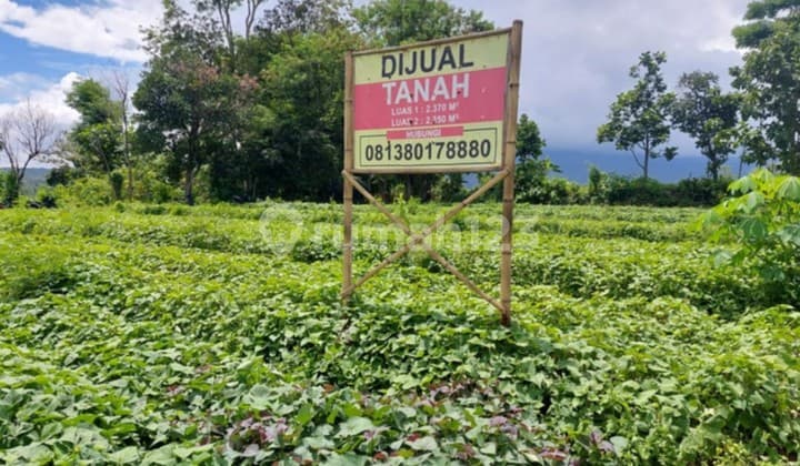 Tanah SHM di Pacet, Mojokerto