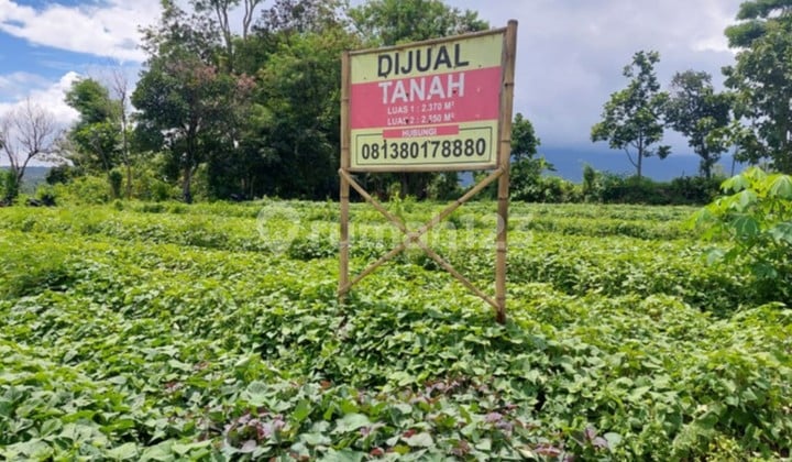 Tanah SHM di Pacet, Mojokerto