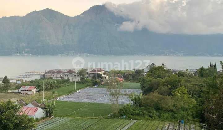 Tanah Strategis di Kawasan Kintamani Batur View Danau Dan Gunung
