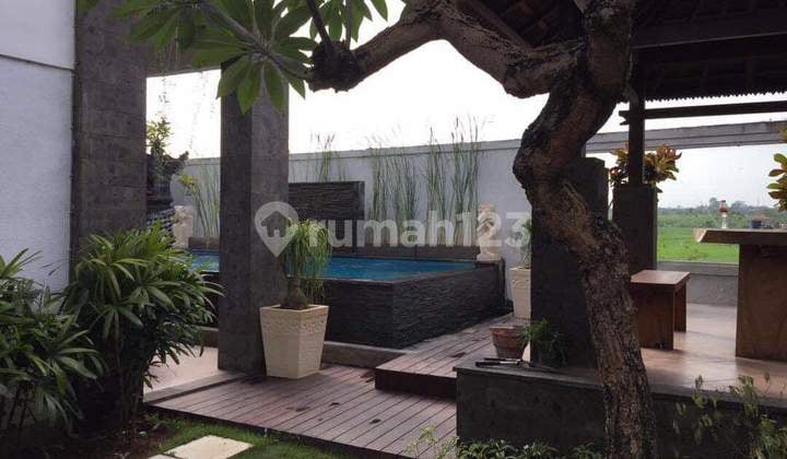 Rumah Bagus Semi Villa 2 Lantai Area Denpasar Timur View Sawah