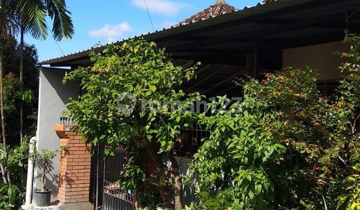 Dijual Rumah Murah 1 Lantai Jln Karangsari Denpasar Dkt Tunasdaud